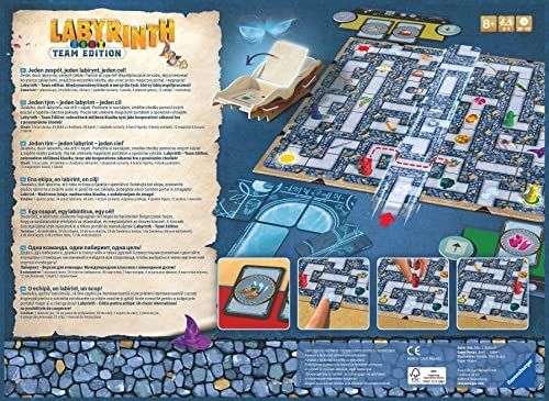 Labyrinth Co-op Game Puzzle (27435)