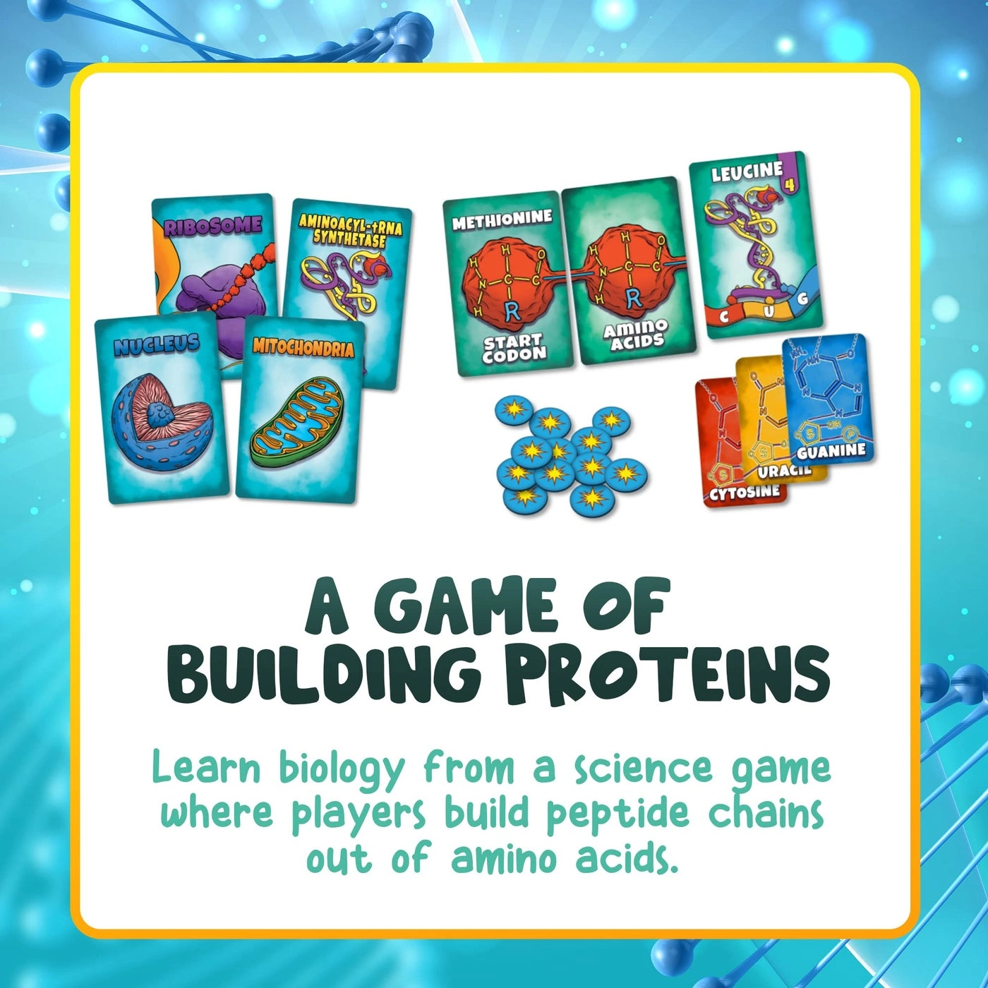 Peptide: A Protein Building Game - Strategy Card Game