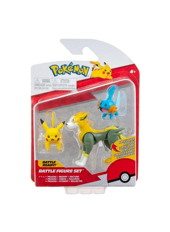 Pikachu + Mudkip + Boltund - Pokemon