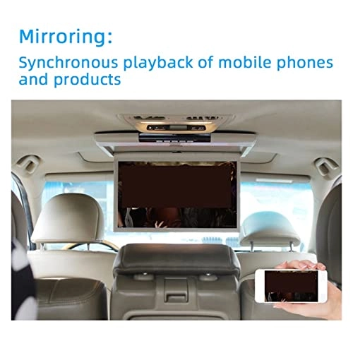 Car Roof Mount Screen - 17.3 Inch