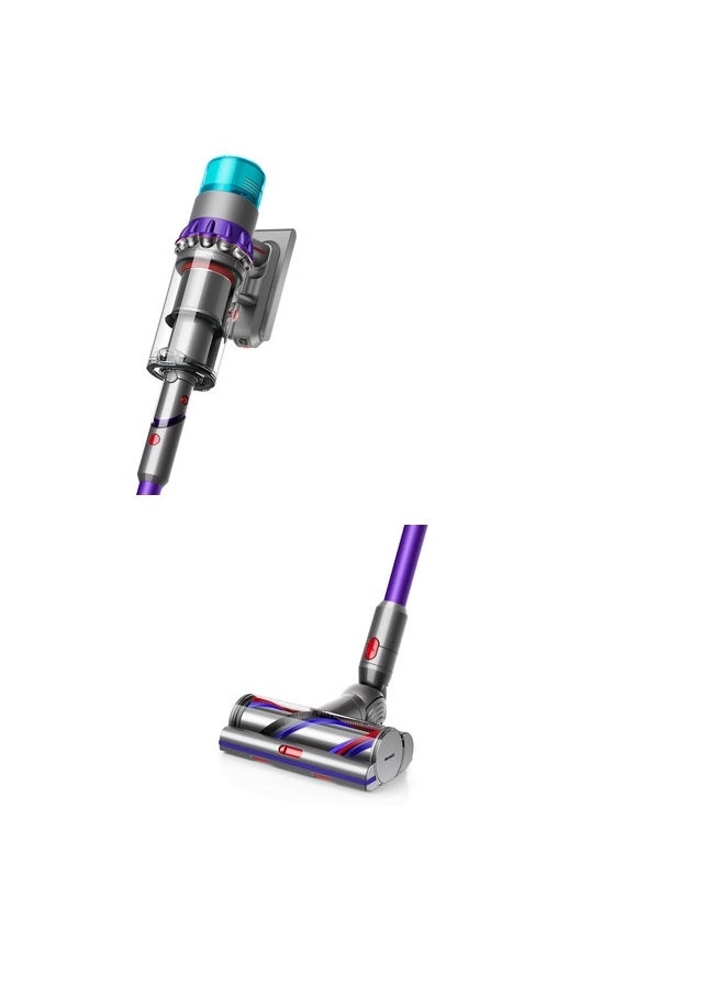 Gen5 Detect Absolute (447038-01)