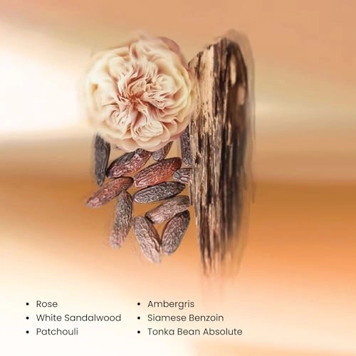 Santal Eau de Parfum 100 ml