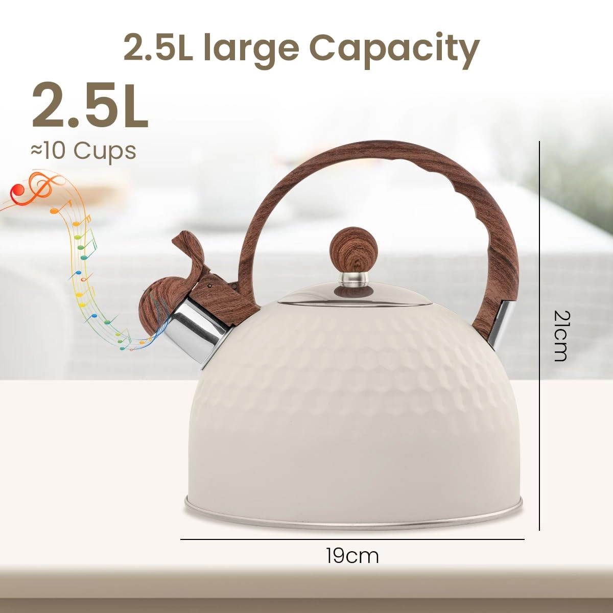 Tea Kettle - 2.5L