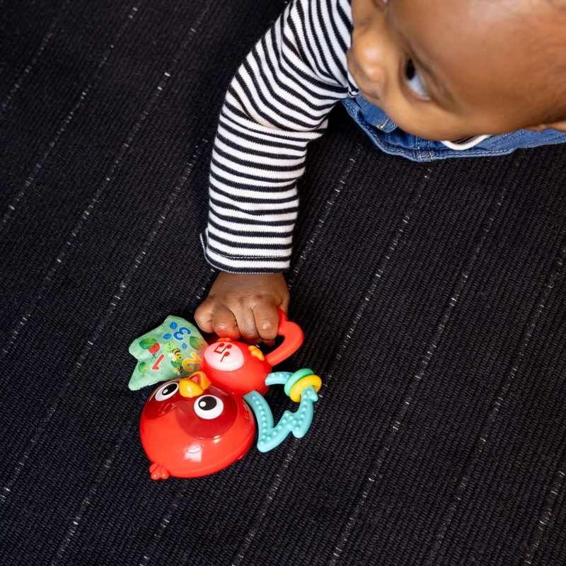 Roxy's Bright Flight Musical Toy - 3 months