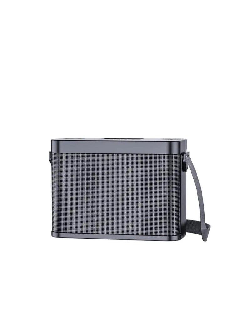 209 Wireless Karaoke Speaker - two wireless microphones