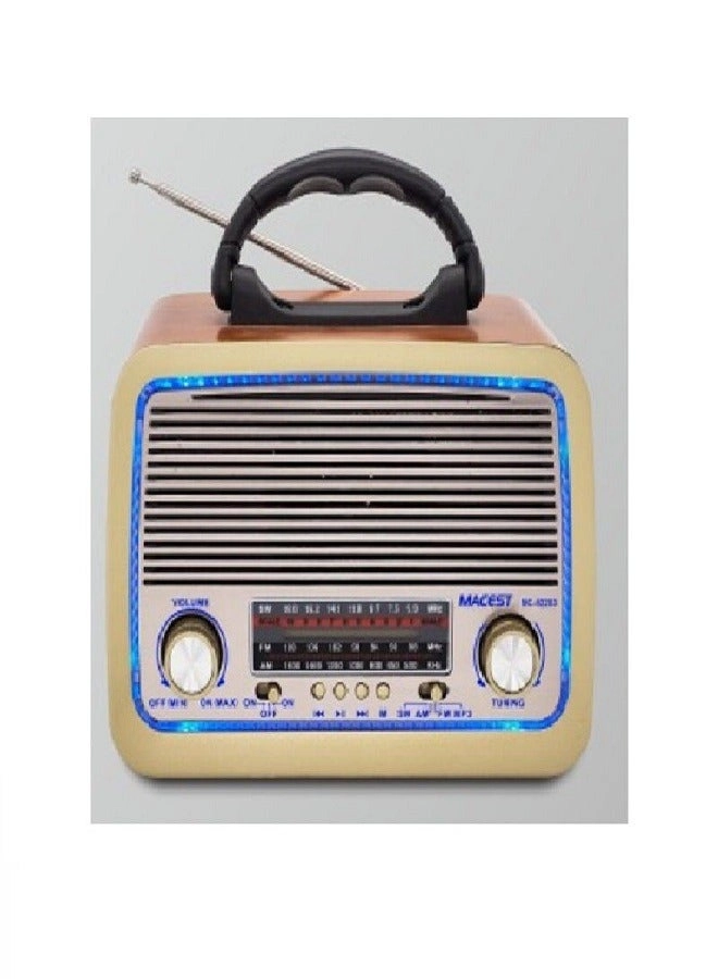 Bluetooth Radio Speaker - FM
