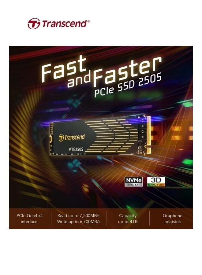 PCIe SSD 250S - 2TB M.2 2280