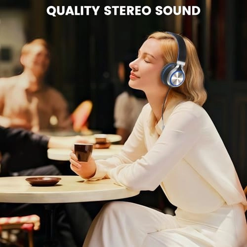 BH118AU Wired Headphone