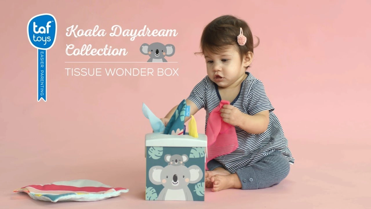 Kimmy Koala Wonder Tissue Box - 9 months
