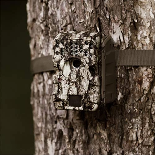 A-900 - 30MP + 16GB Class 10 SD card + 8 AA batteries + heavy-duty strap