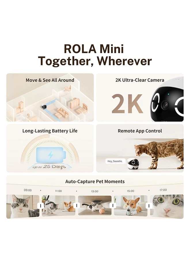 ROLA Mini