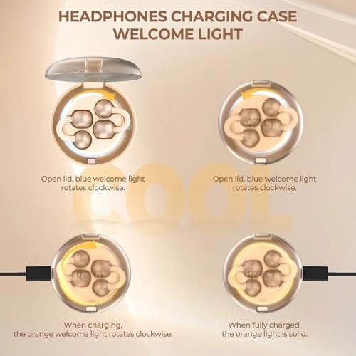 DL3 Wireless Earbud