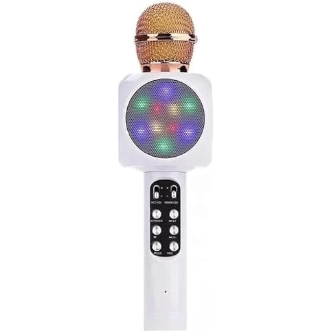 WIRELESS BLUETOOTH MICROPHONE