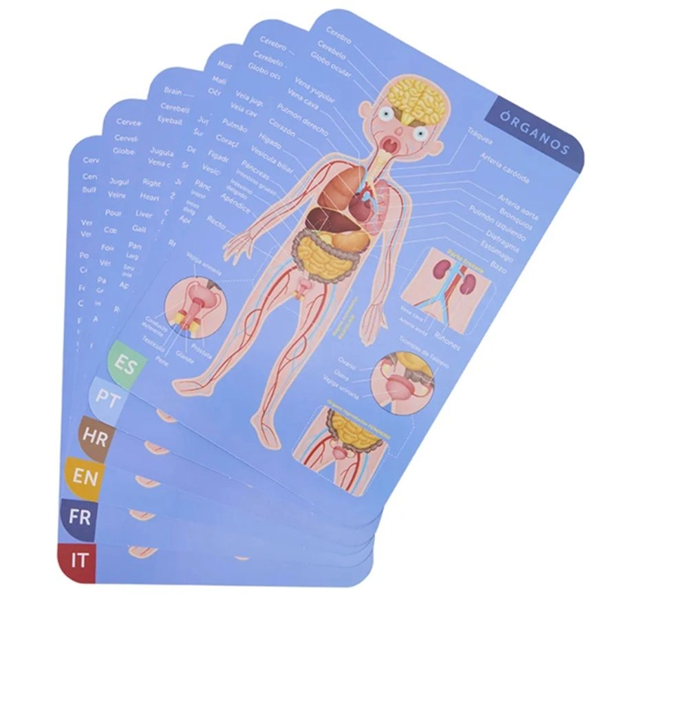 Human Body Magnetic Puzzle - 7+ 100 pieces