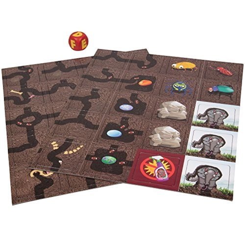 Ant Colony - 5 and up 1 pieces