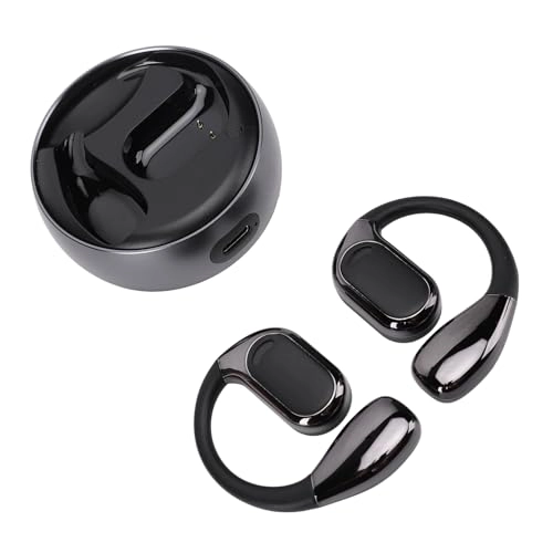 Translation Earphones - 74 Languages