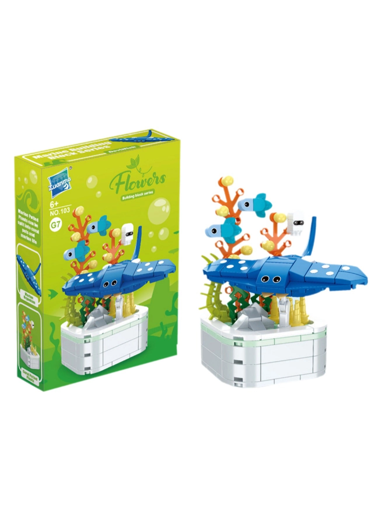 Generic Manta ray potted plants - Over 3 Years Old 144pcs