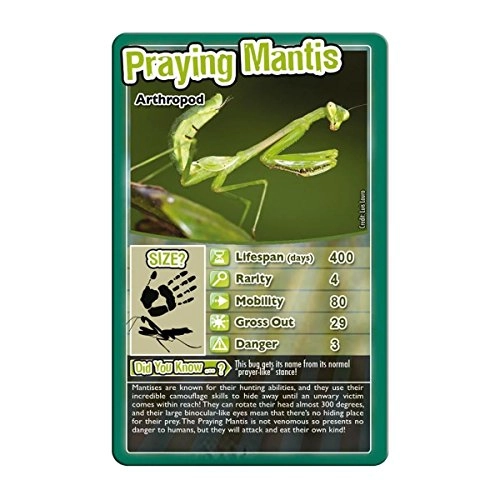 Top Trumps: Bugs