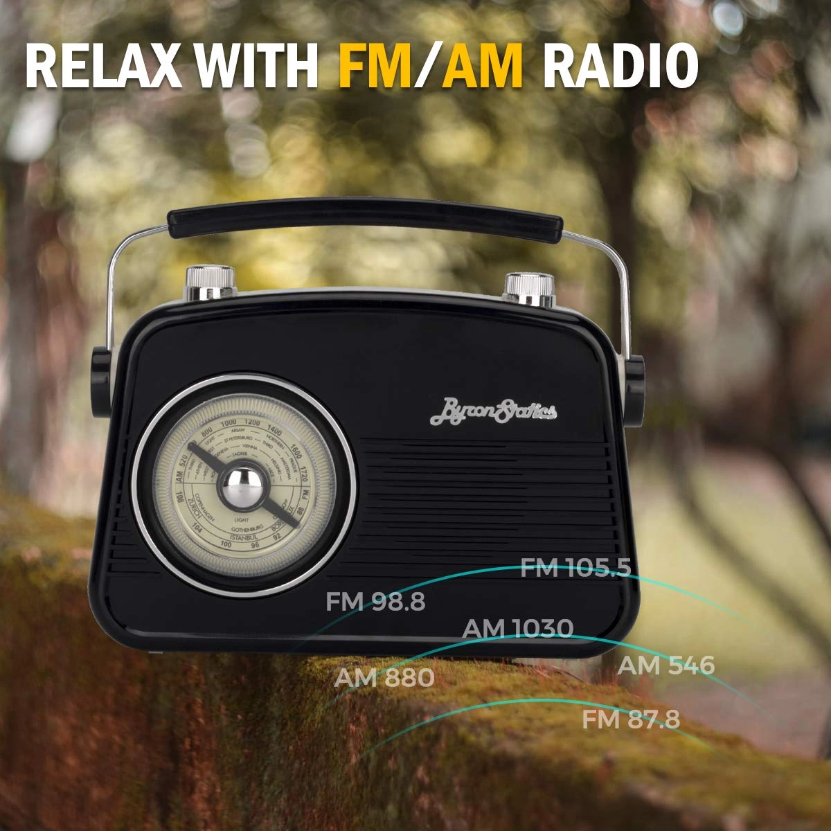 Portable Radio - AM FM
