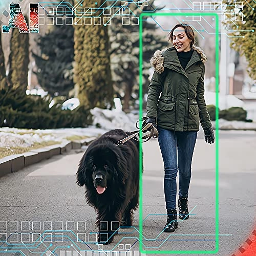 GW5508NPG - 8 Channel 2TB + GW8533MIC - 4K 8MP