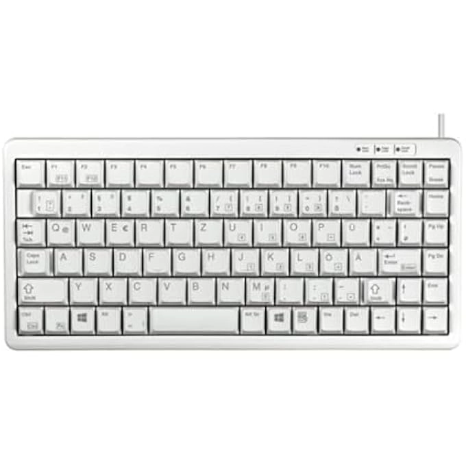 rayihni G84-4100 - US Wired