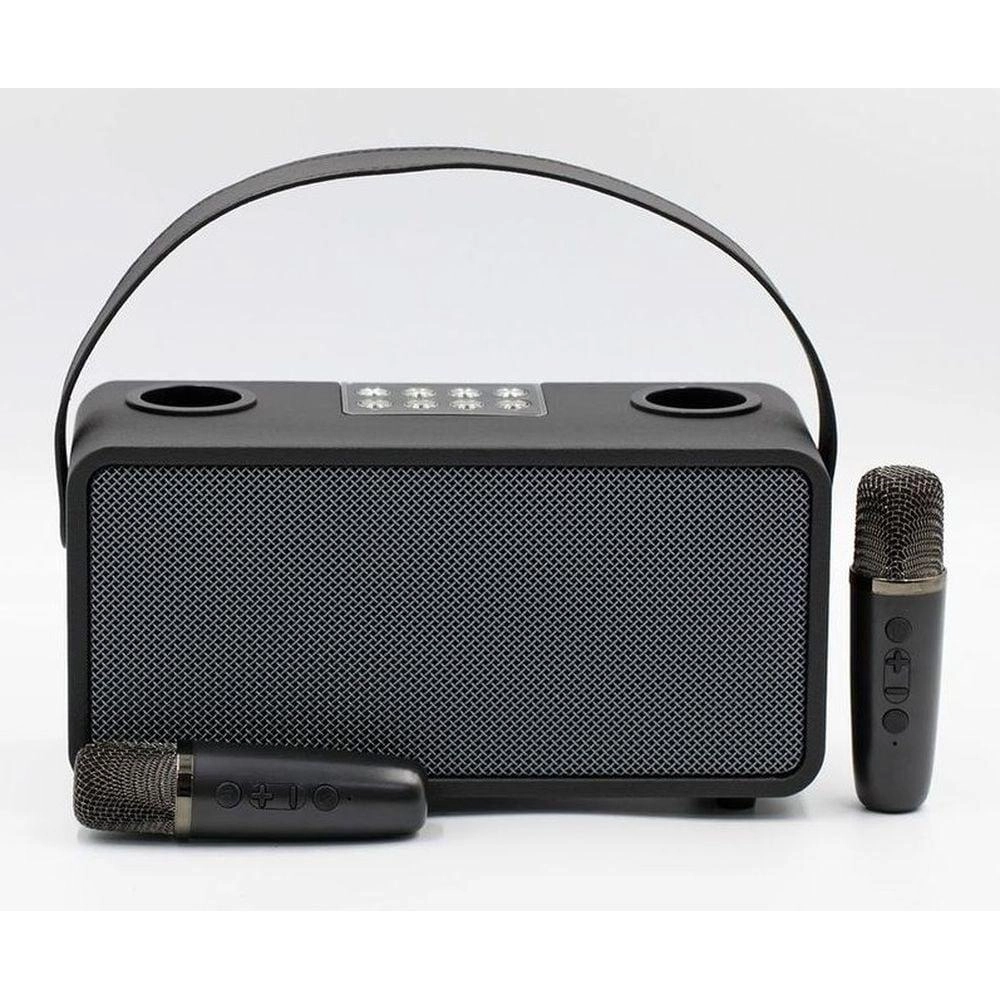 PulZ Mini Karaoke System - 2 Microphones