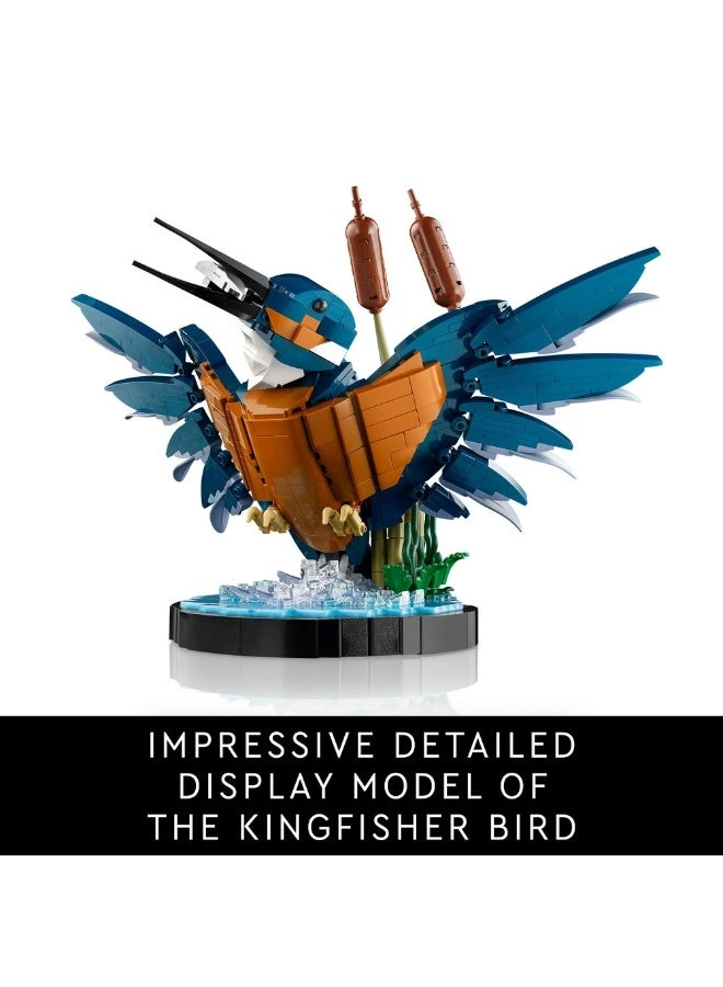 Icons Kingfisher Bird (10331)