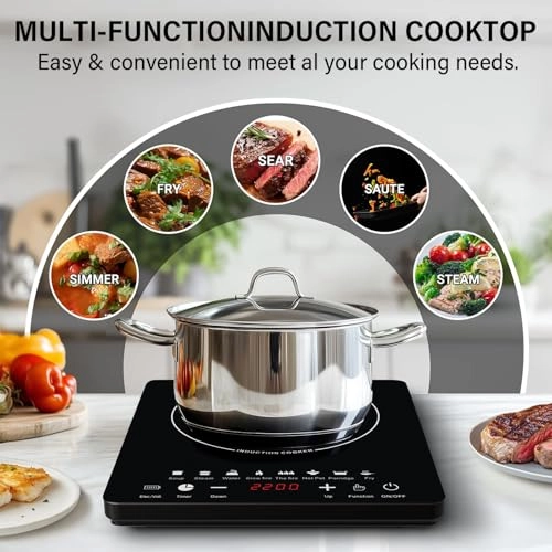 DS2562 Induction hob