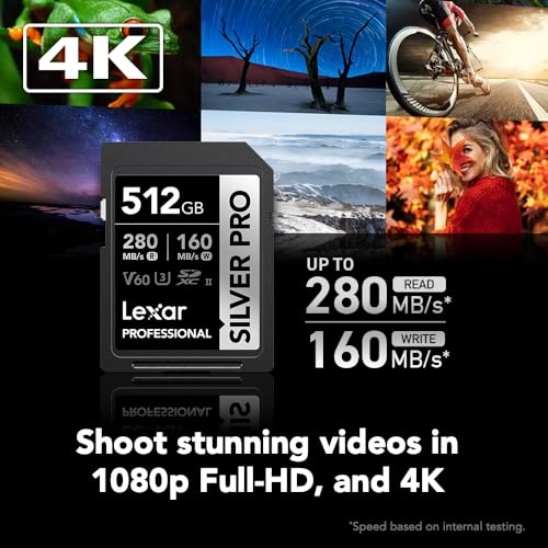 SILVER PRO SD - 512GB