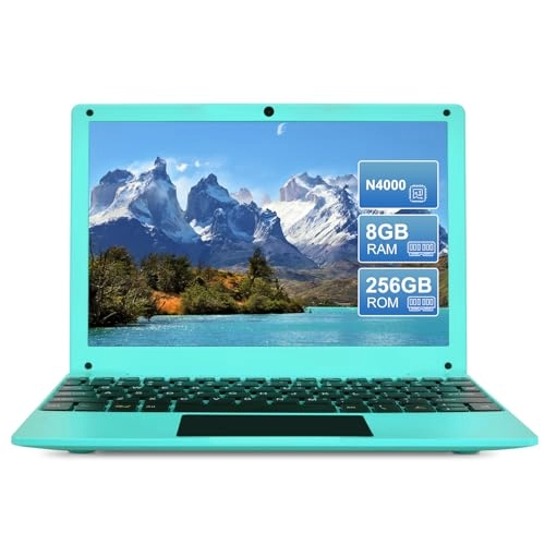 N4000 - 10.1'' 6X86 8GB DDR4 256GB SSD