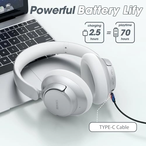WH305B Wireless Headphone