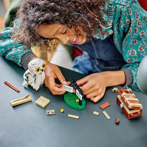 Harry Potter Hedwig at 4 Privet Drive (76425)