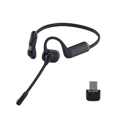 P200b Wireless Headset