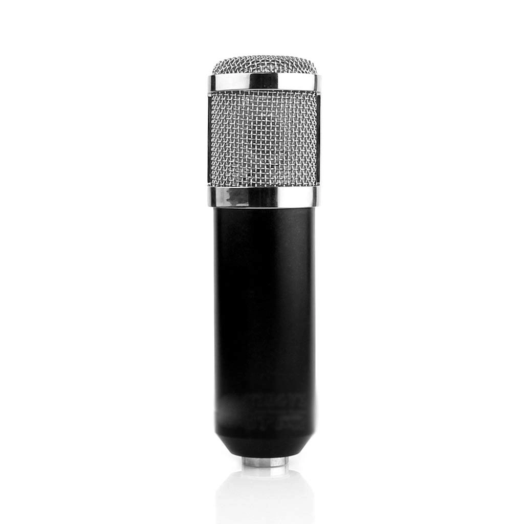LJGCVNG 77897 Wired Microphone
