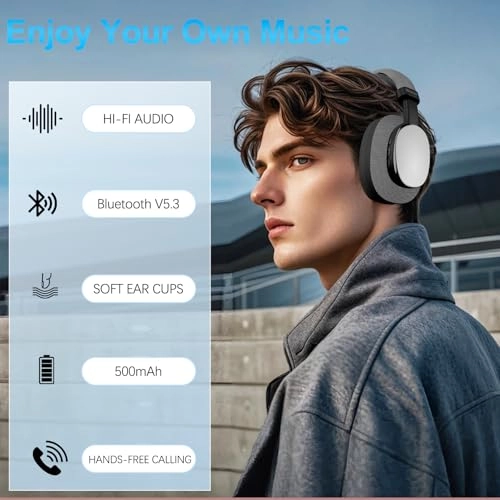 T20 Wireless Headphone