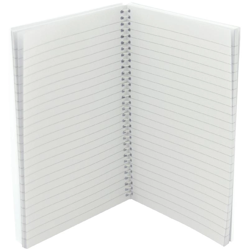 Notebook 19 X 26 cm Spiral - Grid 100 Sheets