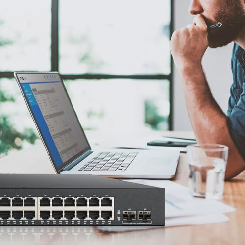 GS1900-48HPV2 48-Ports