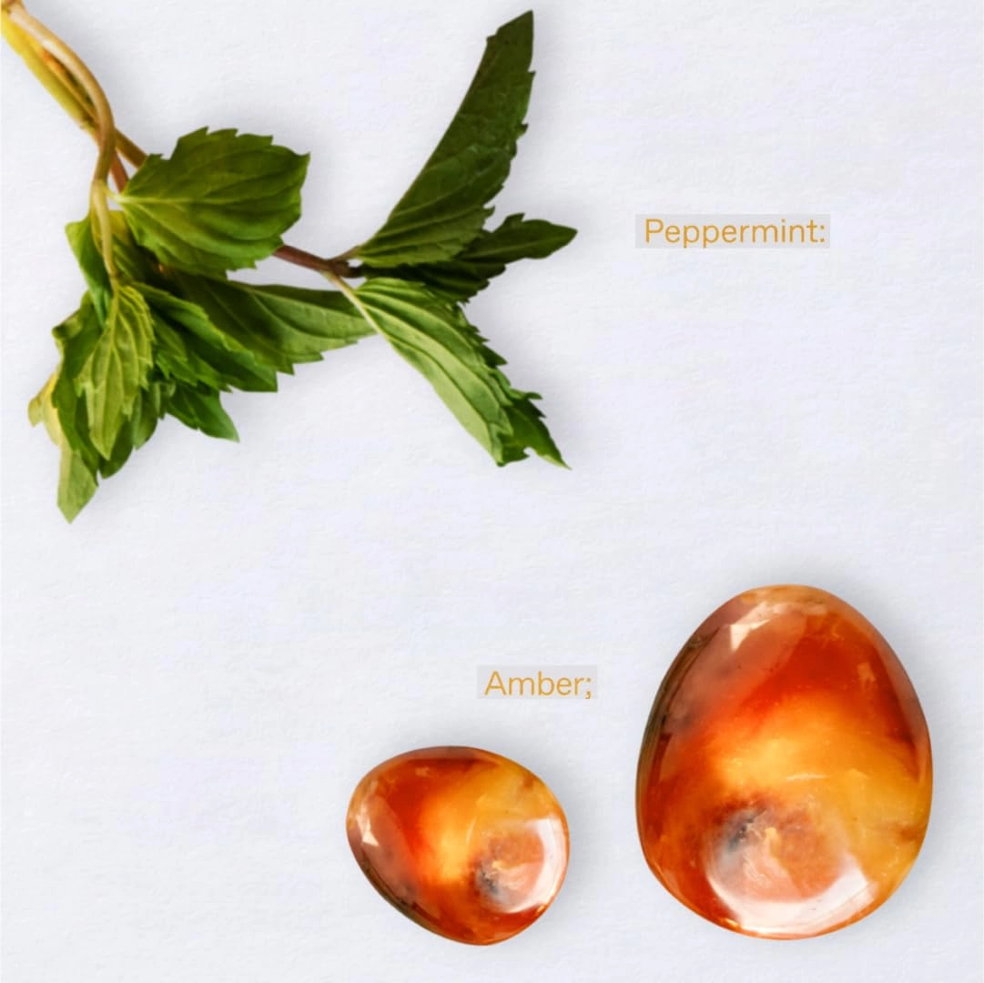 Oceanic Amber Eau de Toilette - 1.69 Fl Oz