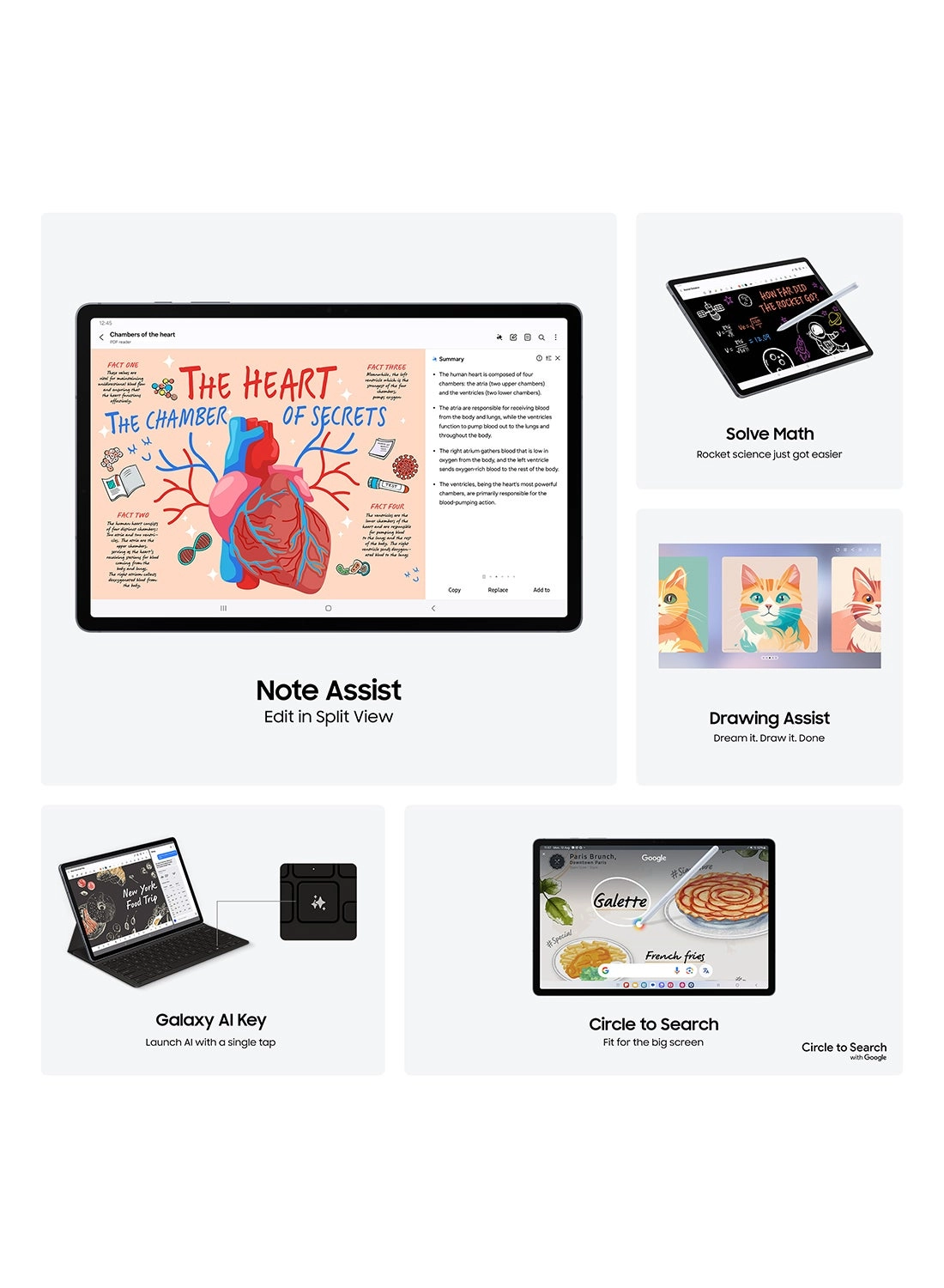 Galaxy Tab S10+ - 256GB 12.4"