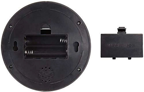 Dummy Security - Indoor Outdoor