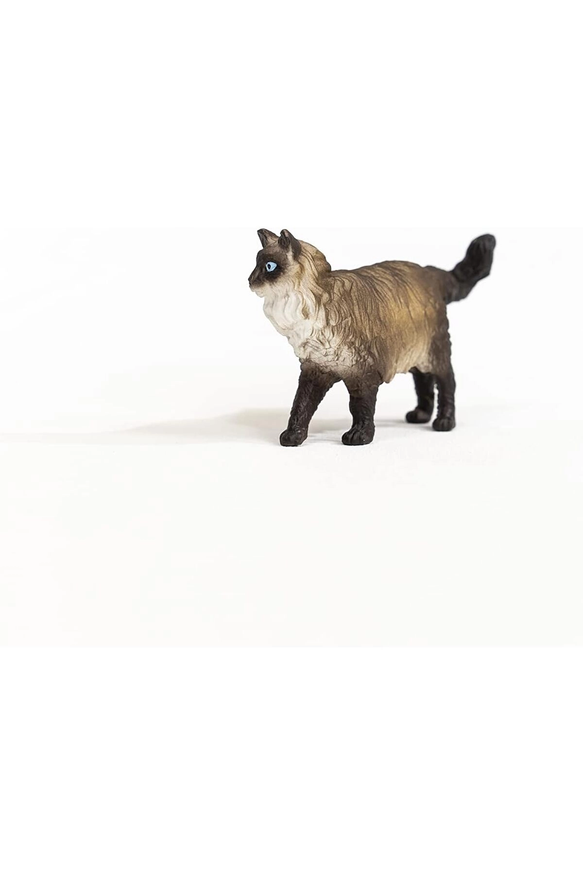 Ragdoll Cat - 3yr 1 Piece