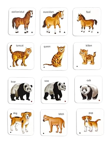 Animals Their Babies & Sounds - 4 years and up 63 pieces