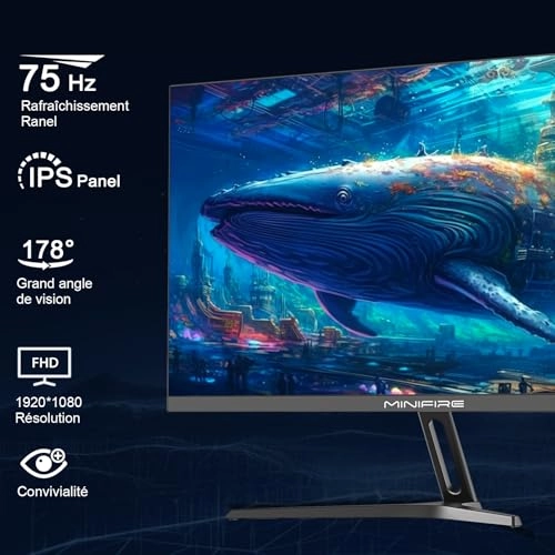 MF22F2 - 22 Inch 1920 x 1080