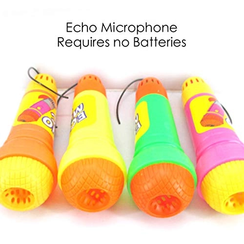 Echo Microphone