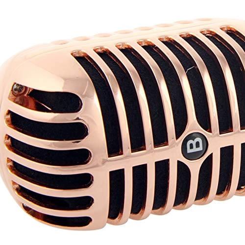 YHMC36213 XLR Microphone