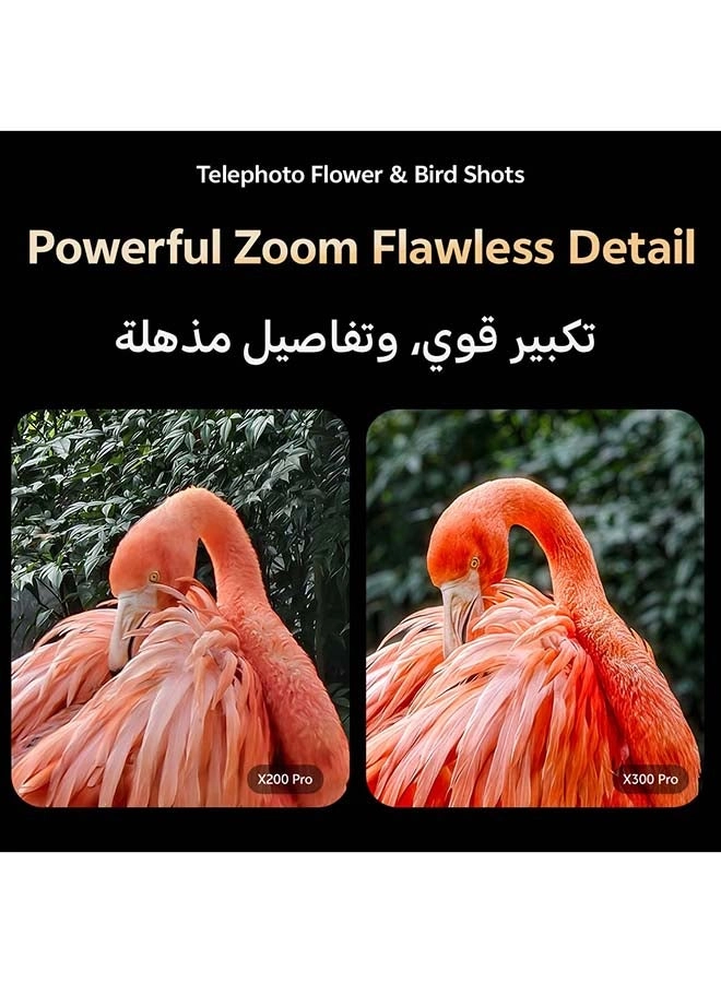 X300 Pro - 16GB 512GB + Magnetic Case + TWS Air