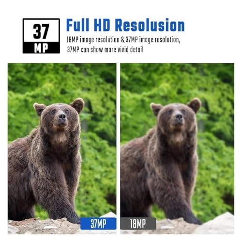 Low Glow Hunting Rear Camera - 18MP