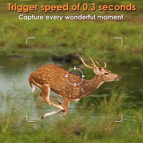 TrailCam-Basic - 16MP