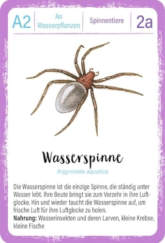 Expedition Natur Quartett Minimonster - Kid