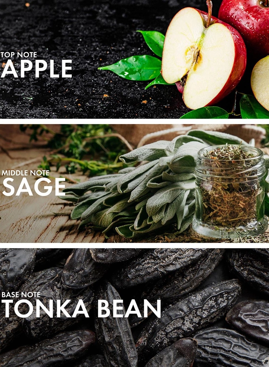 Oud Leather - Eau de Parfum 50ml